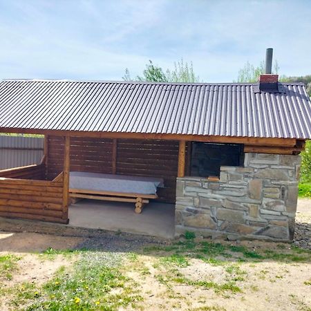 "Бджілка" І " Садиба Для Відпочинку" Lyuta Exterior foto